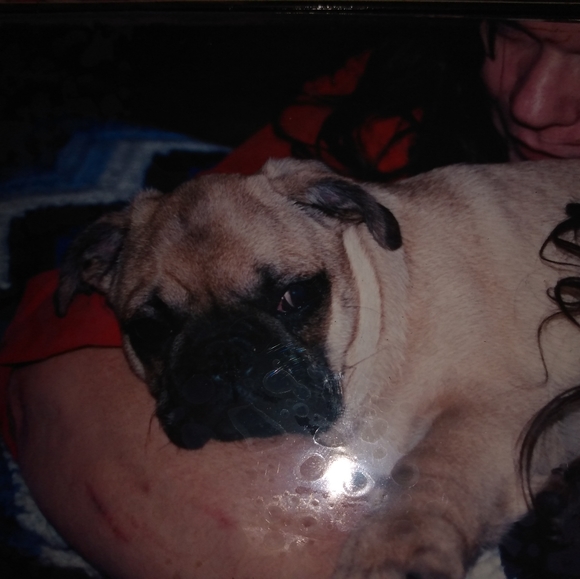 Meet your Posher, Jt - Picture 2 of 2